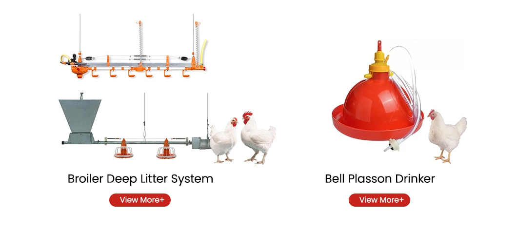 Bestchickencage Feed Crushing Mixer China Poultry Feed Grinder and Mixer Manufacturing ODM Custom Small Footprint Animal Feed Grinder and Mixer for Chicken